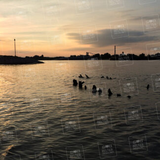 Schenkenschanz Schiffswracks